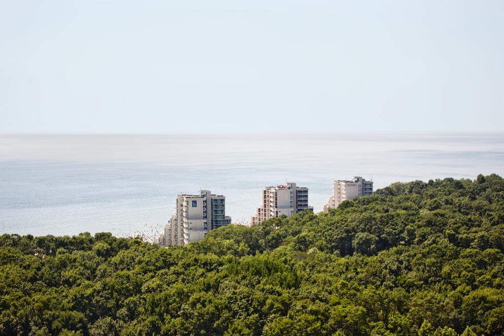 Hotel Boryana 4*